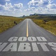 The Road to Good Habits